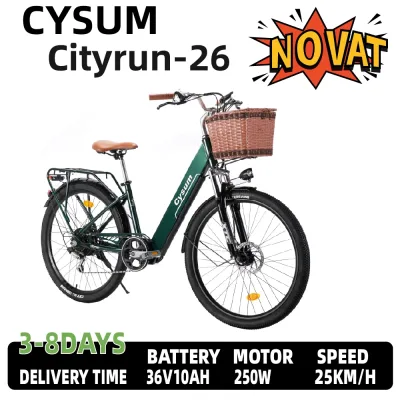 Vélo électrique tout-terrain 250 W, batterie 36 V