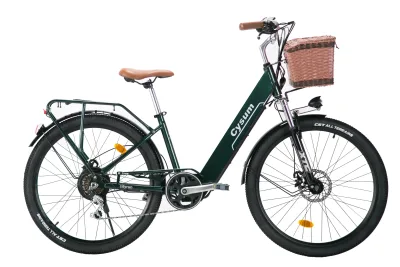 Vélo électrique tout-terrain 250 W, batterie 36 V – image 2