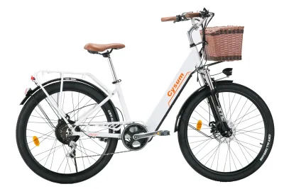 Vélo électrique tout-terrain 250 W, batterie 36 V – image 3