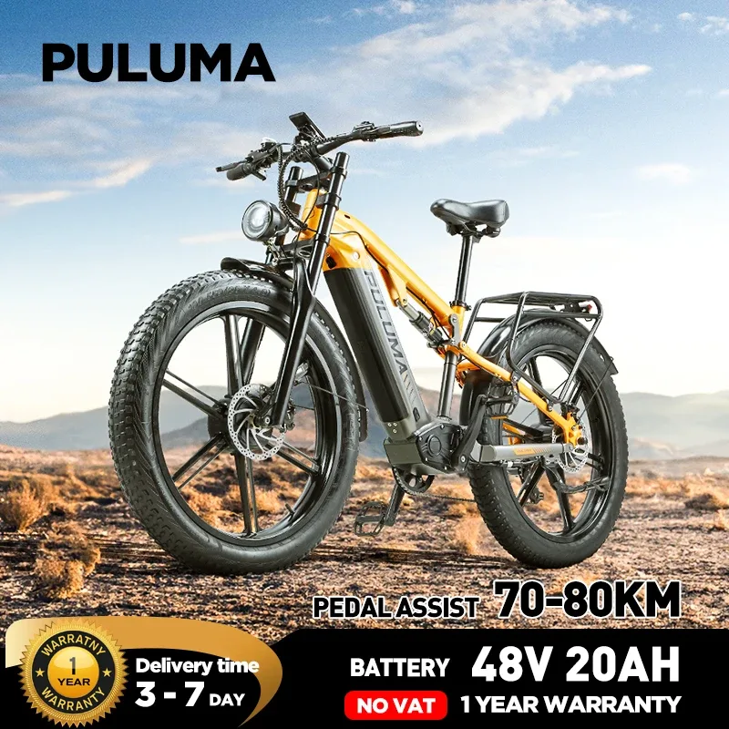 Vélo électrique tout-terrain à double moteur